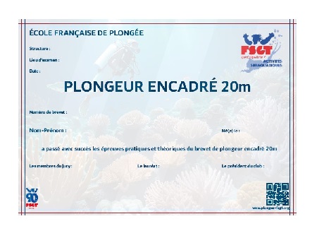 P1 - Plongeur encadré 20m
